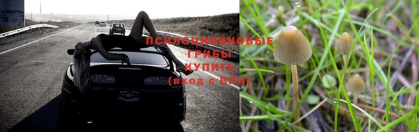 ешки Вяземский