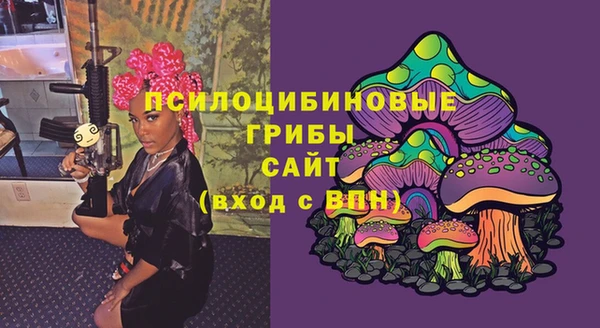 ешки Вяземский