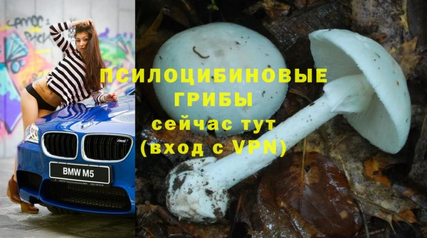молекула духа Вязники