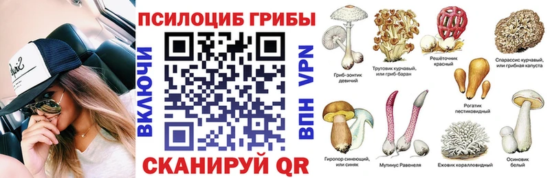 Псилоцибиновые грибы Cubensis  Купить закладки  Мезень 