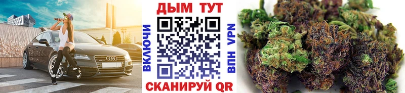 Купить  Мезень  Конопля сатива 